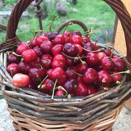 El Refugio بيت للعطل *