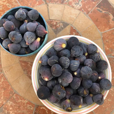 El Refugio بيت للعطل Reynès