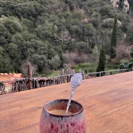 El Refugio * Reynès