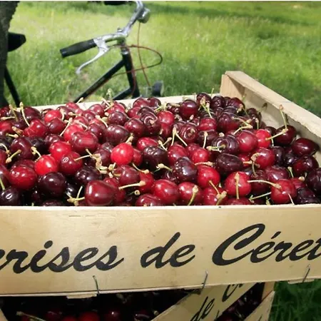 بيت للعطل El Refugio Reynès