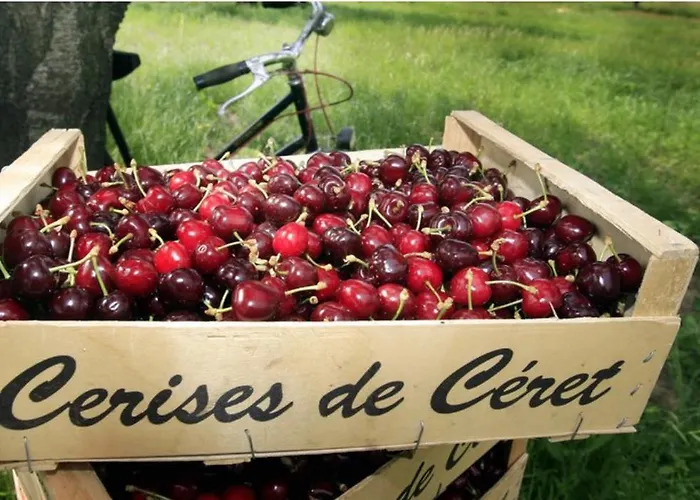 펜션 El Refugio Reynès